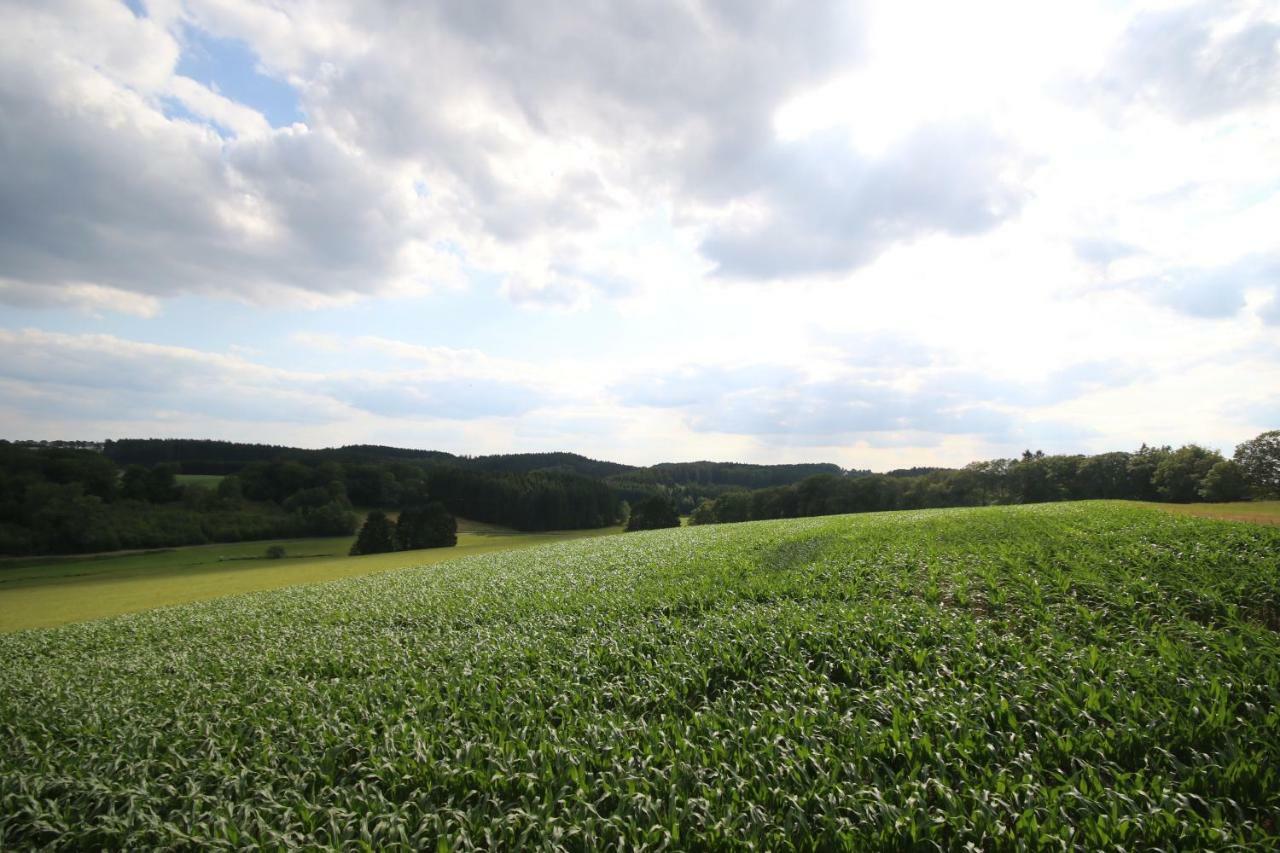 Kleines Haus Mitten In Der Natur Mit Eigener Terrasse Und Sonnenbalkon Halver Eksteriør bilde